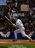 Donnie Baseball - Lithograph on Paper - approx 21-1/2