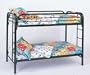 Coaster Toby Twin over Twin Metal Bunk Bed in Black Finish