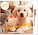 51mxaolskiL. SL75   The Basic  Know Hows About  Cat Care