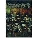 Decapitated: Human's Dust