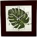 TICKAWAY (�e�B�b�J�A�E�F�C) �|�����v �A�[�g���[�t�N���b�N TW-1083DB