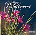 Wildflowers 2010 Wall Calendar