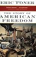 The Story of American Freedom (Norton Paperback)