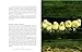 The Inner World of Farm Animals: Their Amazing Social, Emotional, and Intellectual Capacities