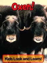 Oxen! Learn About Oxen and Enjoy Colorful Pictures - Look and Learn! -From Free Kindle Books Library