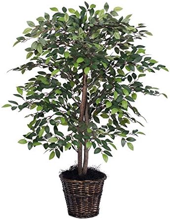 Home decor, Holiday decorations, Tree, Plant, 4' Mini Ficus Bush