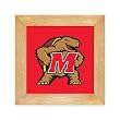 University of Maryland Terrapins Trivet - Wall Hanging