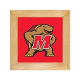 University of Maryland Terrapins Trivet - Wall Hanging