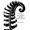 (ART FORMS IN THE PLANT WORLD ) By Blossfeldt, Karl (Author) Paperback Published on (01, 1986)