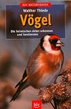 Voegel: Die heimischen Arten erkennen und bestimmen