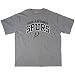 Miami Heat NBA Big and Tall Line Tee