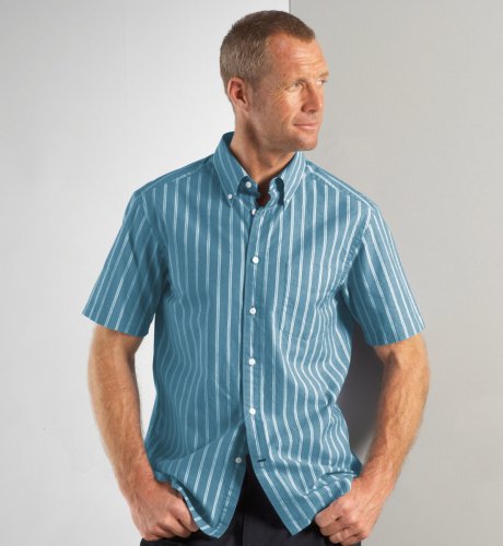 Big & Tall Blue Harbour Short Sleeve Oxford Stripe Shirt