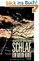 Schlaf ein, mein Kind: Roman