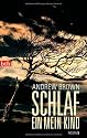 Schlaf ein, mein Kind: Roman