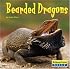 Bearded Dragons (World of Reptiles)