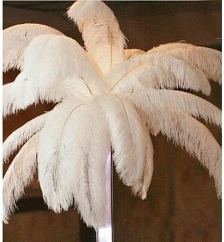Uoften High Quality Natural 6-12inch white Ostrich Feathers 10 pcs 20 pcs 50 pcs (50, 19 inch- 21 inch)
