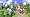 Sid Meier's Civilization Revolution