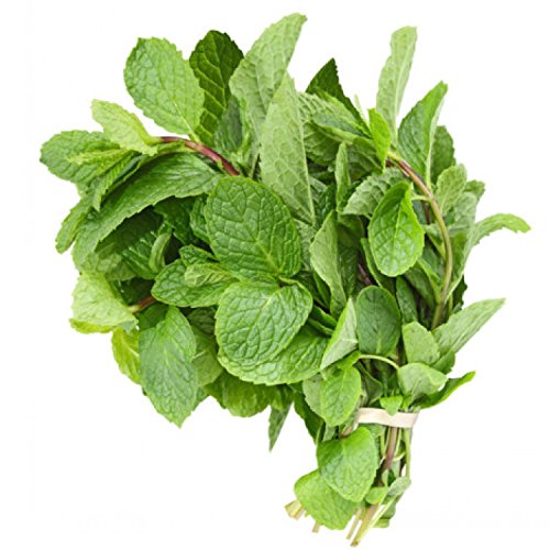 Fresh Mint Leaves (14 oz.)