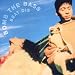 Beat Dis: the Very Best of