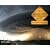Adventures in Tornado Alley: The Storm Chasers
