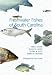 Search : Freshwater Fishes of South Carolina (Belle W Baruch Library in Marine Science)