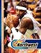 Books : The Northwest Division (Above the Rim)