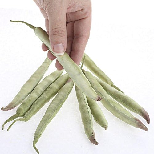 20 Incredibly Realistic Looking Green Beans for Displaying in Crafts, Baskets and Home Decor