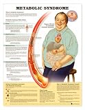 Metabolic Syndrome Anatomical Chart Laminated