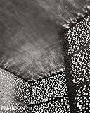 Composing space : the photographs of Hélène Binet