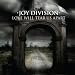 Love Will Tear Us Apart By Joy Division