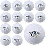NHL Nashville Predators Dozen Pack Golf Ball Set
