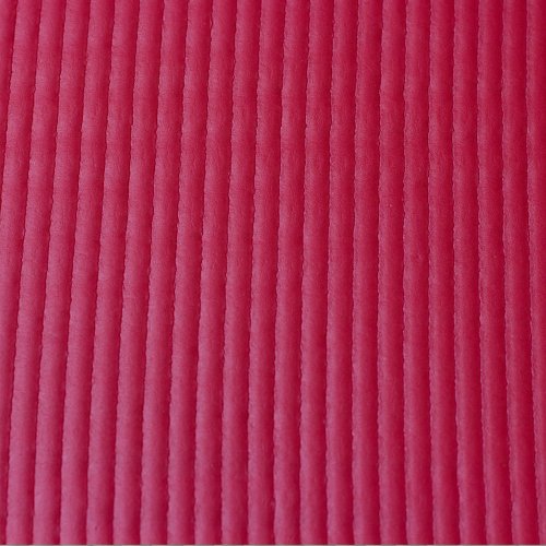 STOTT PILATES Express Mat