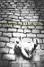 Everlasting Moments by Susan C. Barto ISBN B000JLQMGQ