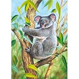 Puzzle CASTORLAND