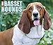 2016 Just Basset Hounds Box Calendar