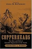 Copperheads: The Rise and Fall of Lincoln's Opponents in the North