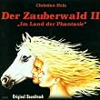 Der Zauberwald II