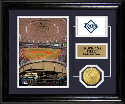Highland Mint MLB Tampa Bay Devil Rays Tropicana Field Desktop Photo Mint