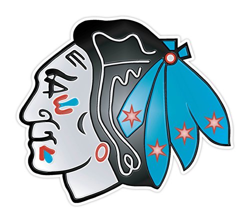 Blackhawks with Chicago Flag Vinyl Sticker 5
