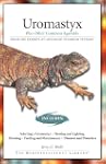 Uromastyx: Plus Other Common Agamids