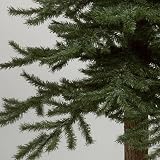 6' Natural Alpine Christmas Tree - Unlit