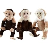 Animal Planet Chattering Capuchin MonkeyIMAGE