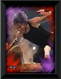 Jeff Hardy Framed Desktop Action Print WWE Wrestling