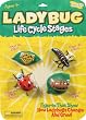 Trend Enterprises ILP6090 Ladybug Life Cycle Stages