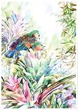 'Amazona Guildingii' (2007)