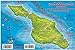 Santa Catalina Island Dive Map & Kelp Forest Creatures Guide Franko Maps Laminated Fish Card