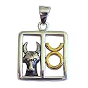 Sterling Silver Taurus Zodiac Pendant Astrology Necklace Jewelry