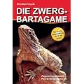 Die Zwergbartagame