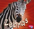 Zebras (African Animals)