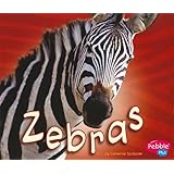 Zebras (African Animals)